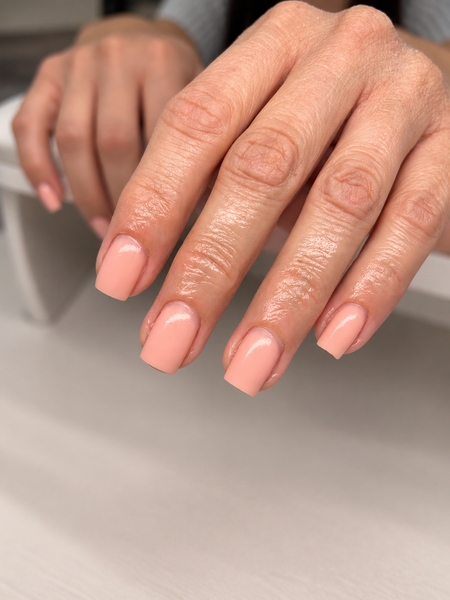 SILK BUILER GEL